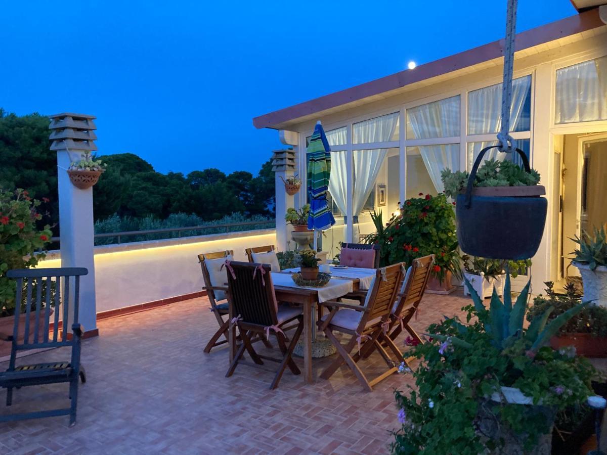 Dreaming Penthouse Apartment Vieste Exterior photo