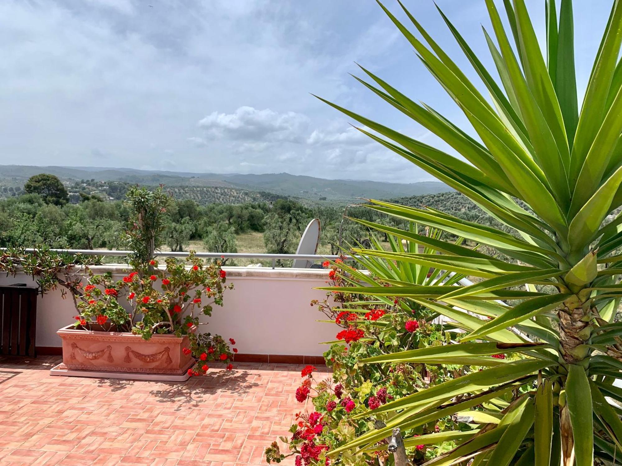 Dreaming Penthouse Apartment Vieste Exterior photo